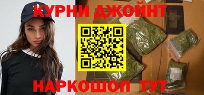 мяу мяу мука Ачхой-Мартан
