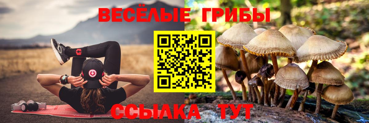 Псилоцибиновые грибы Psilocybe  Галлюциногенные грибы мухоморы  Белая Калитва  Вход с VPN 